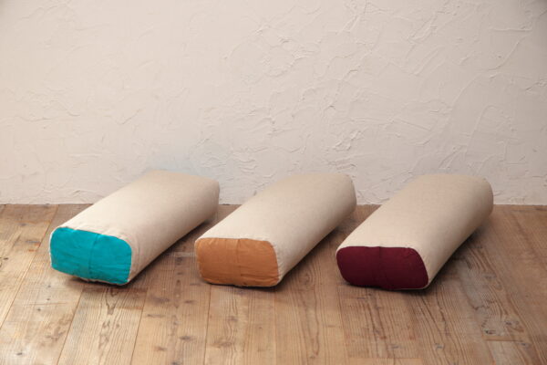 0F9A8895 ボルスター